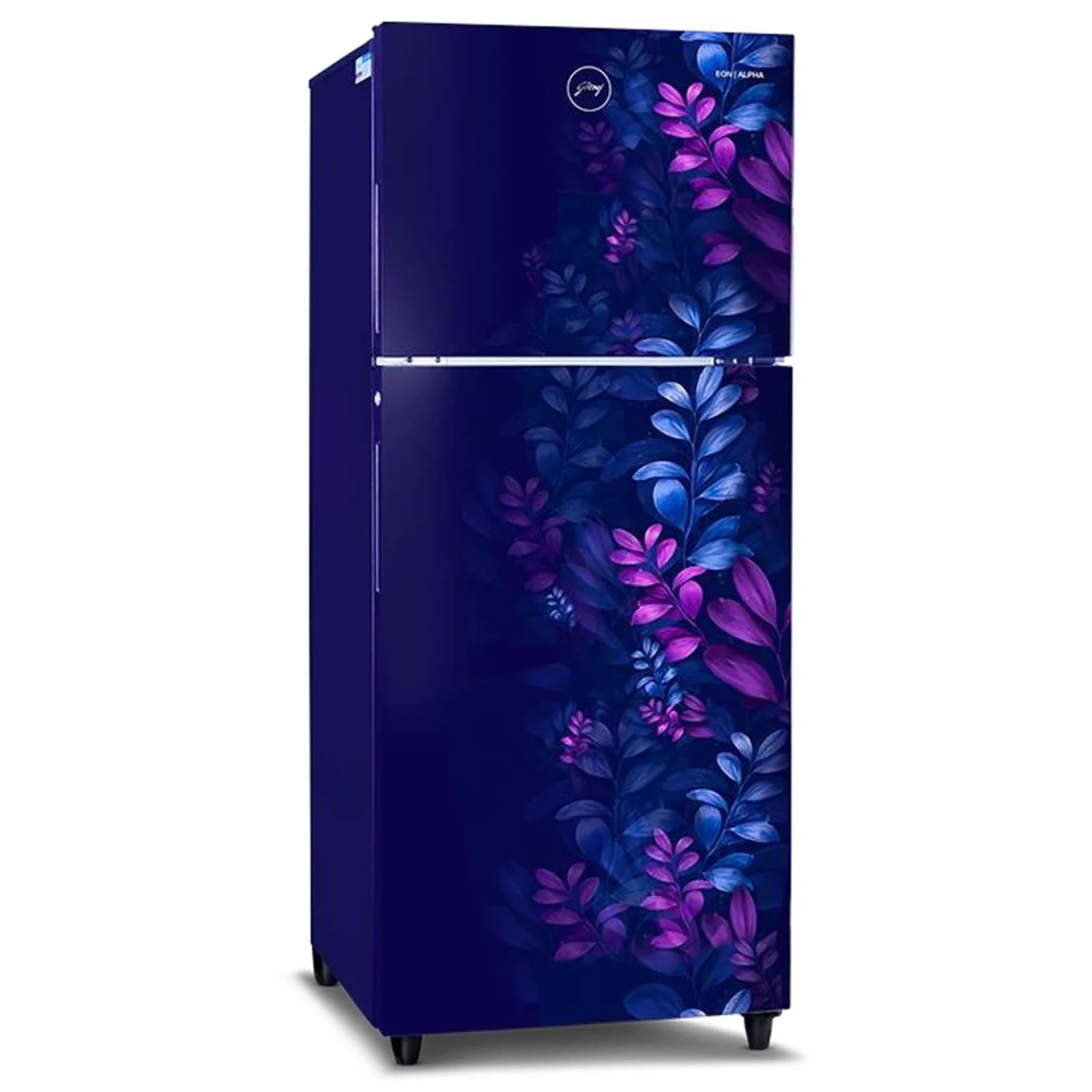 Godrej Eon Alpha 258 L Double Door Refrigerator