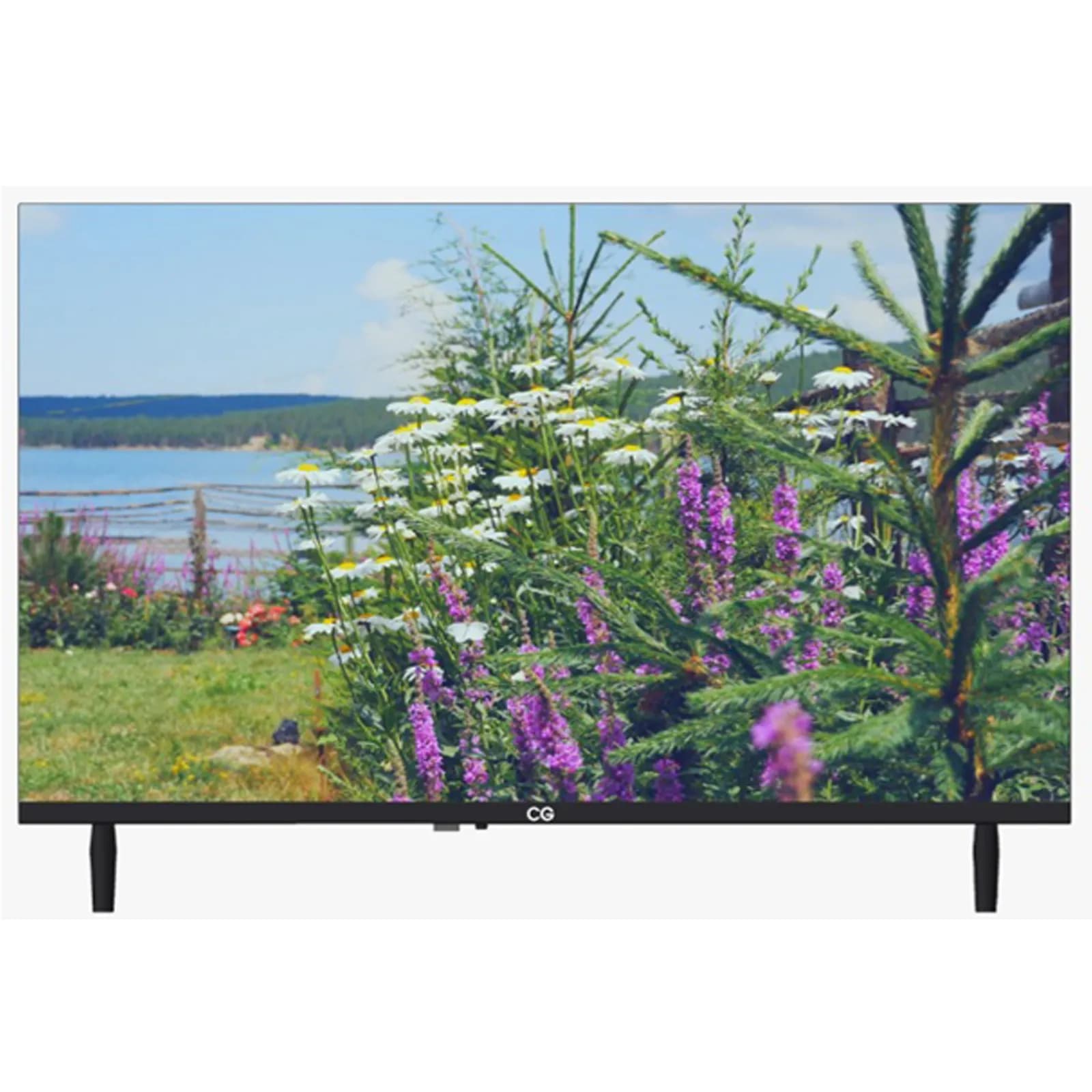 CG 43 Inch Full HD Smart LED TV