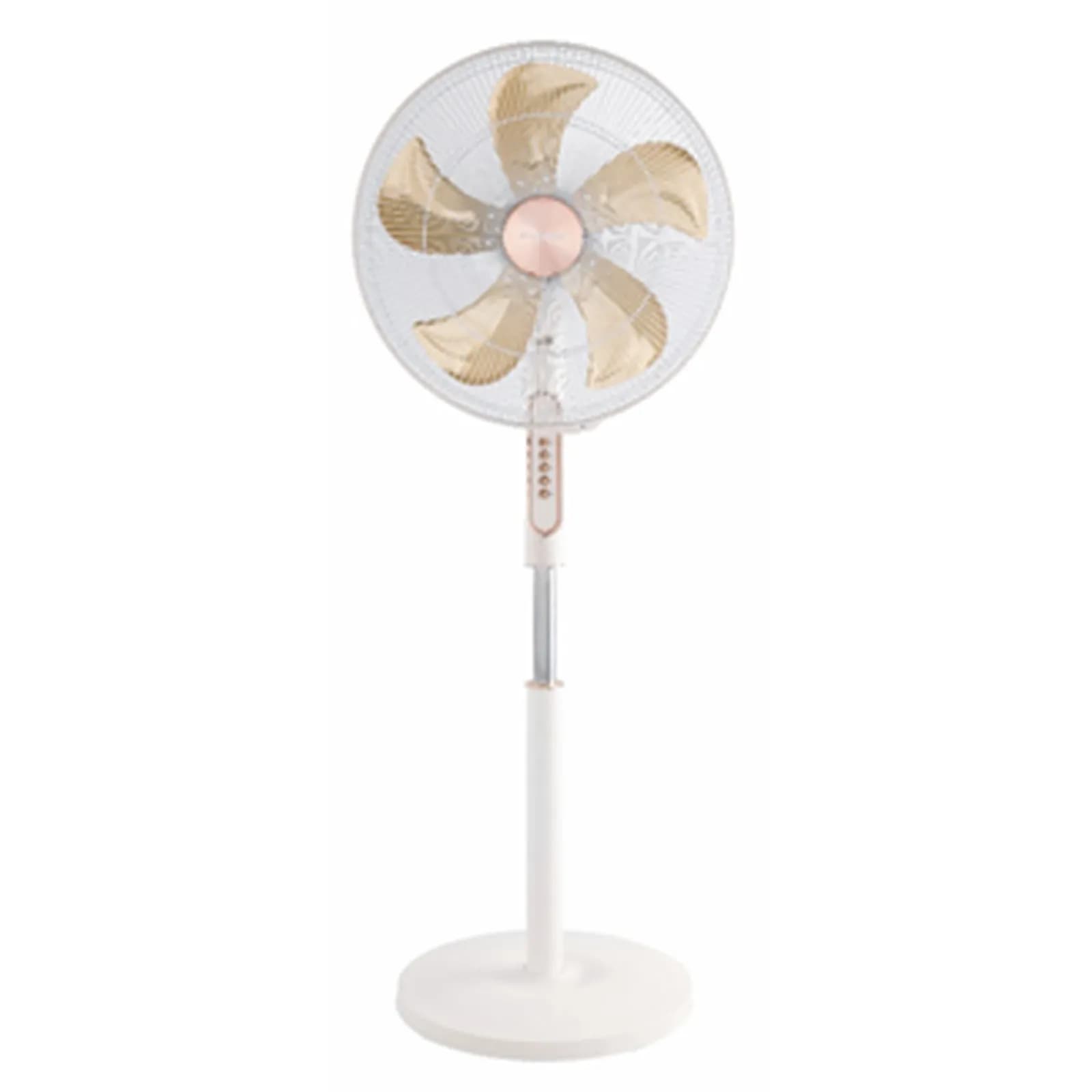 CG 18 Inch Stand Fan